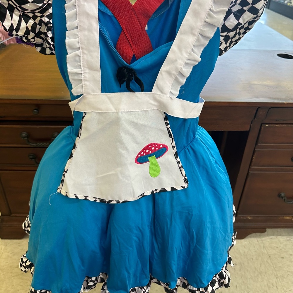 Alice in Wonderland Halloween Costume